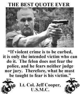 If violent crime is to be curbed, it is only the intended victim who can do it The felon does not fear the police, and he fears neither judge nor jury. Therefore what he must be taught to fear is his victim.