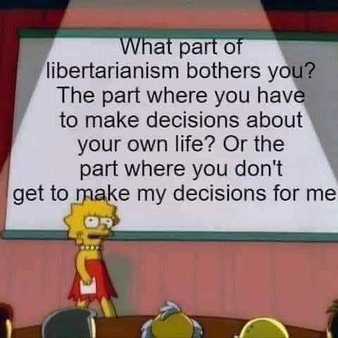 What part of libertarianism bothers you? The part where you have to make decisions about your own life? Or the part where you don't get to make my decisions for me?