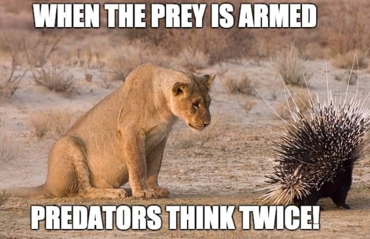 When the prey is armed, predators think twice.