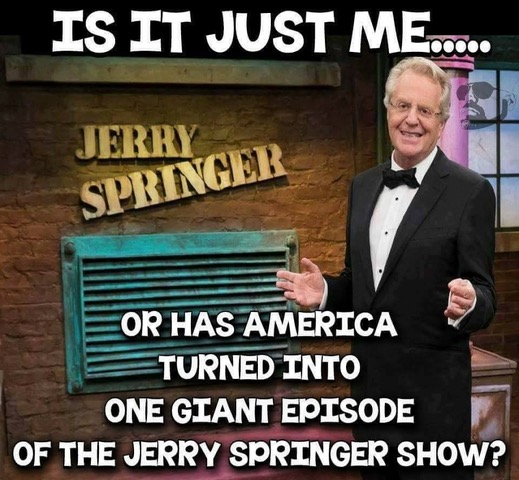 Springer Show!