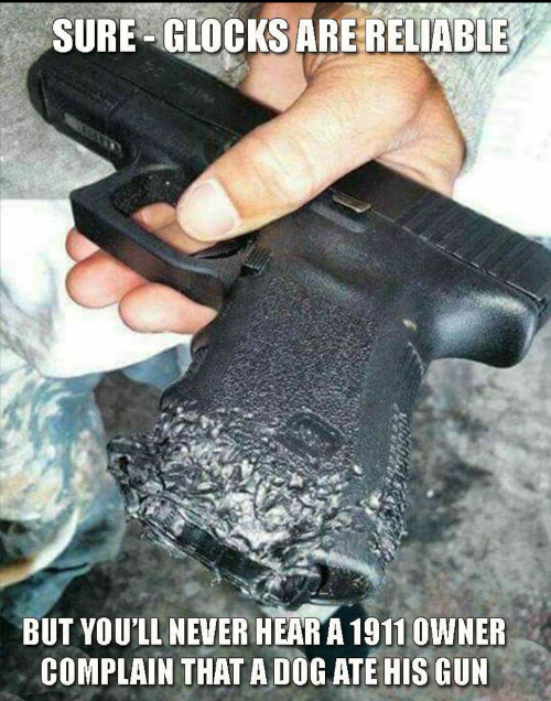 dog ate my glock