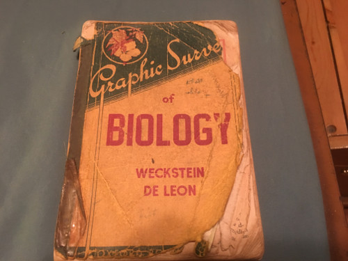 Fullerton article issue 911