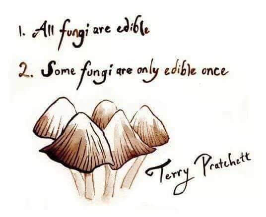 Pratchett on Fungi