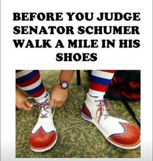 Walk a Mile in Schumer's Shoes