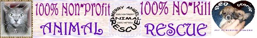 Merry Angel Animal Rescue