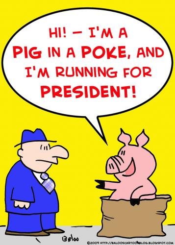 Pig in a Poke