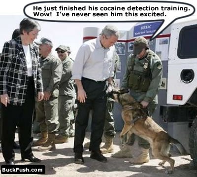 George and Drug Dog