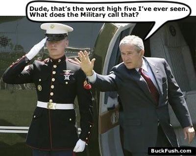 High Bush Five