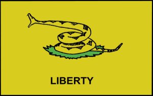 New Gadsden Flag No. 1